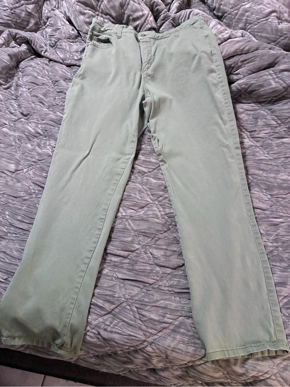 Gloria Vanderbilt Amanda Green Straight Leg Pants